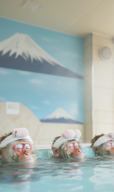 ITにあつい会社のメインビジュアル